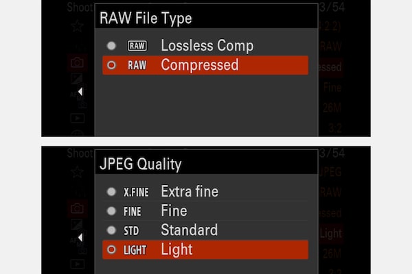 Pantalla LCD de la cámara: Pantalla de selección de imágenes RAW